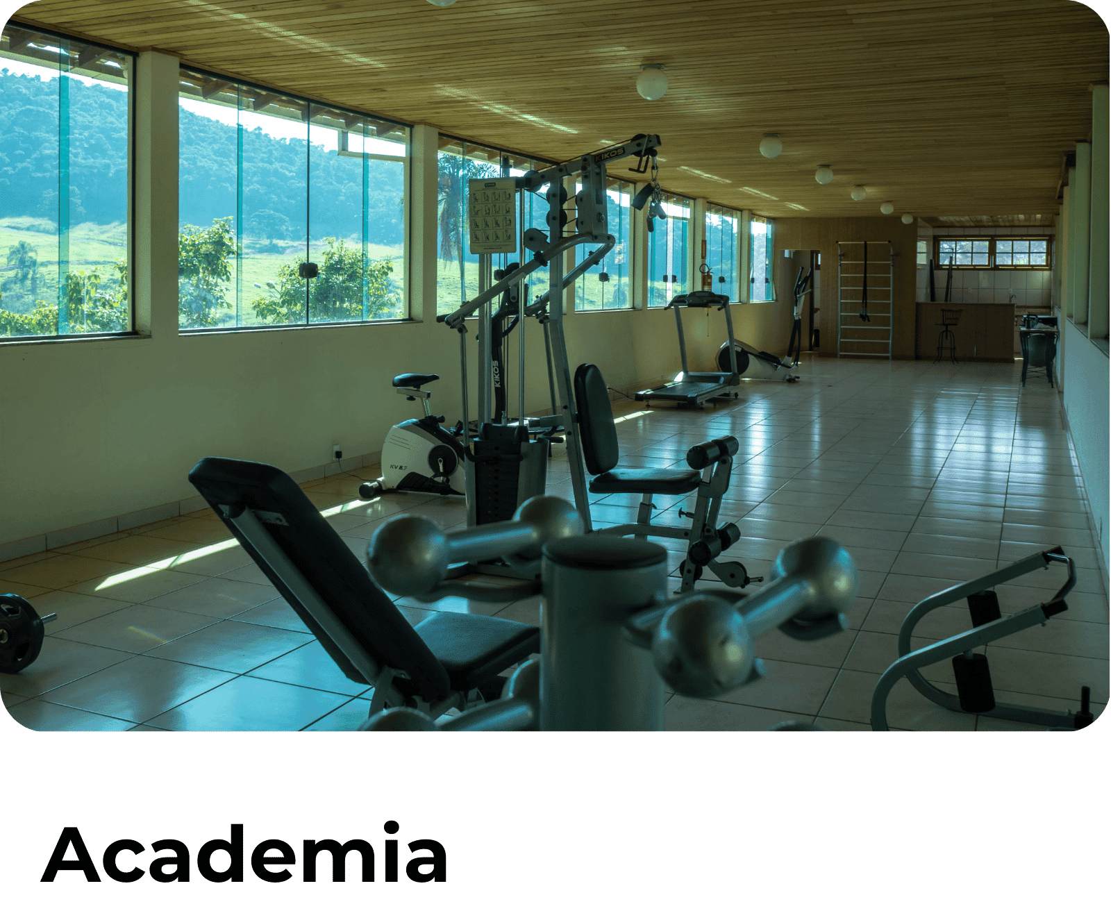 Academia